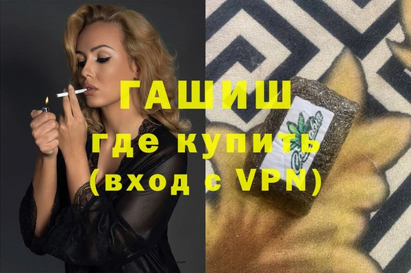 шишки Сясьстрой