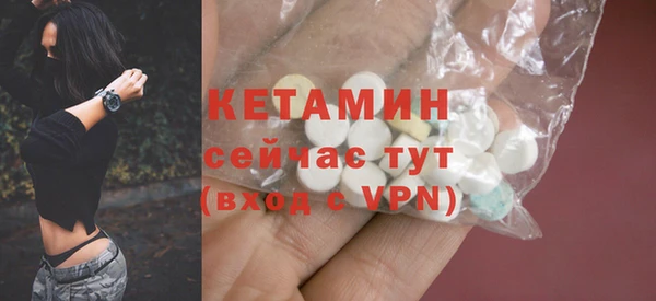 шишки Сясьстрой