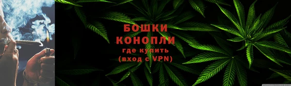 apvp Тайга
