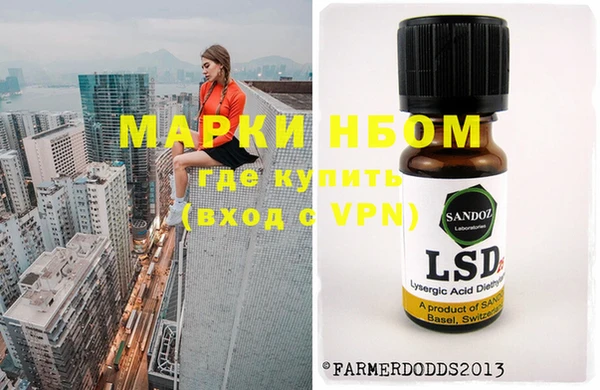 гидра Тавда