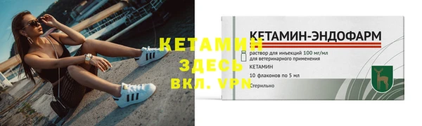 шишки Сясьстрой