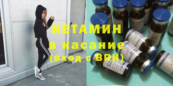 сатива Мурманск
