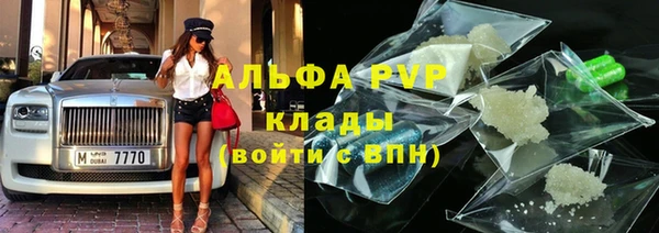 шишки Сясьстрой