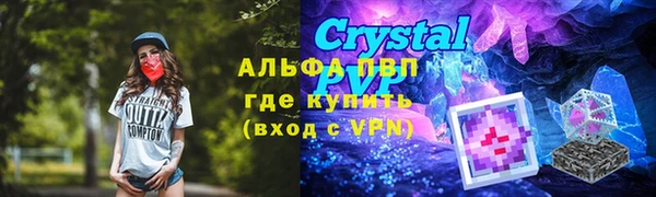 гидра Тавда