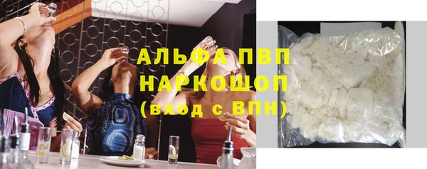 гидра Тавда