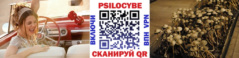 где купить наркоту  Орёл  Псилоцибиновые грибы ЛСД 